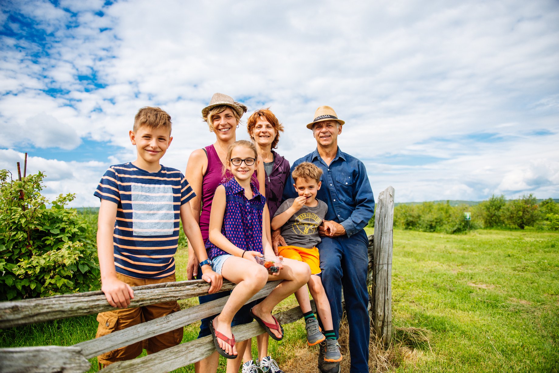 Famille de Évolution Fruitée