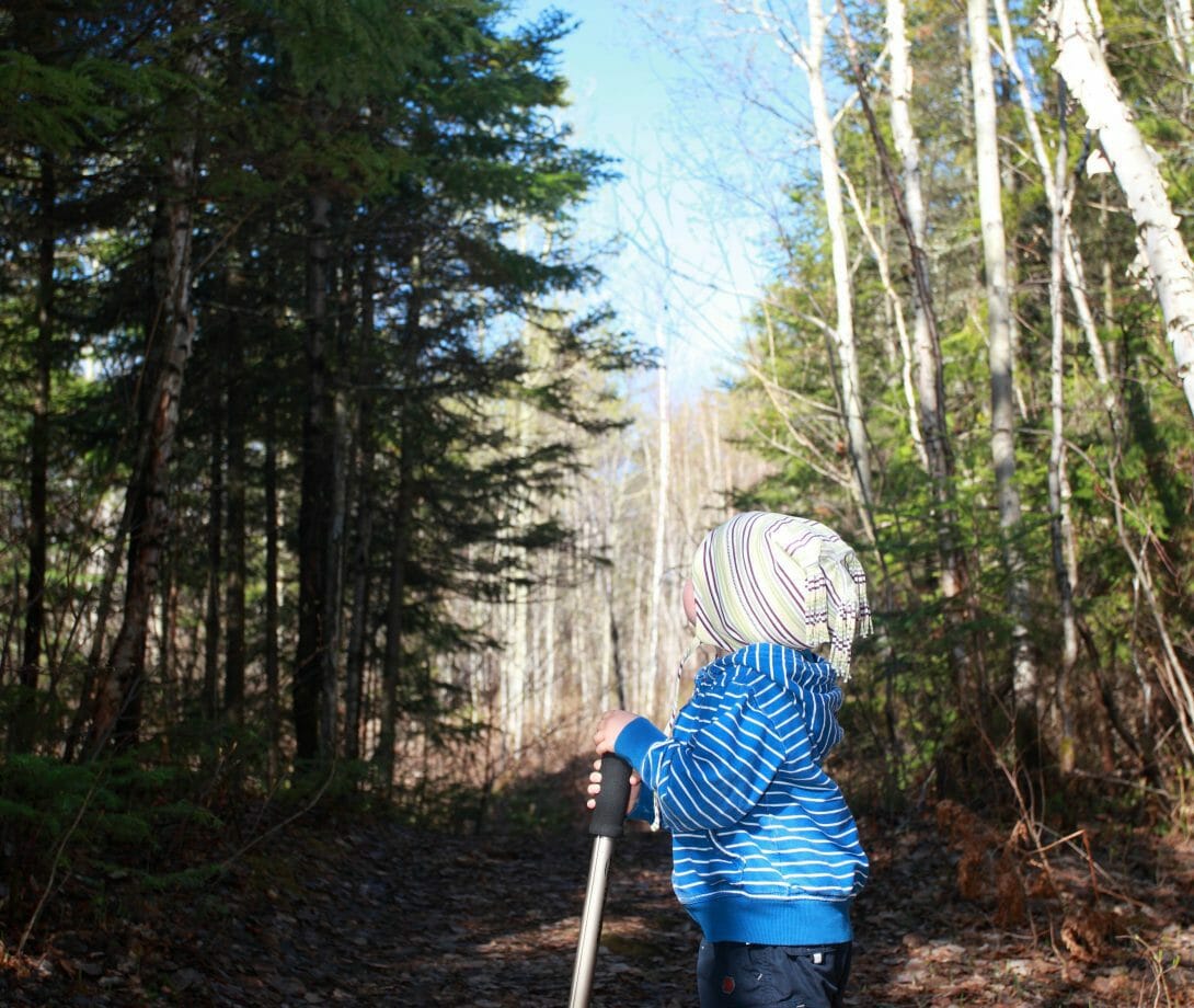 Petit garçon regardant dans les air dans le sentier pédestre du Rigolet