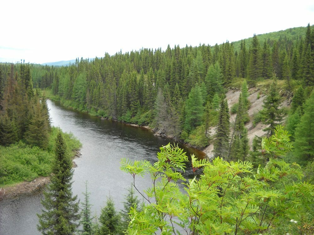 Rivière Zec des passes