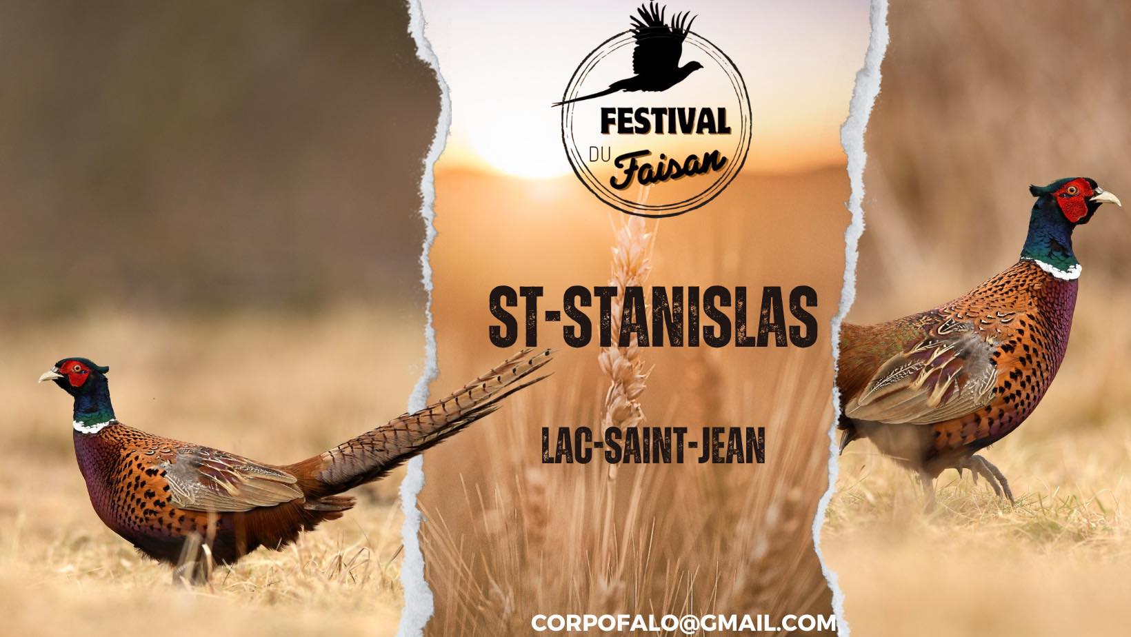Festival du Faisan